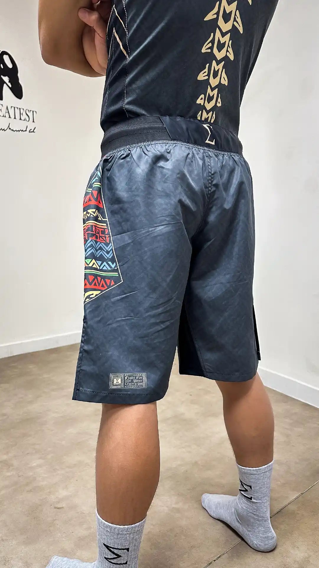 Sigma Stone Hands MMA Shorts