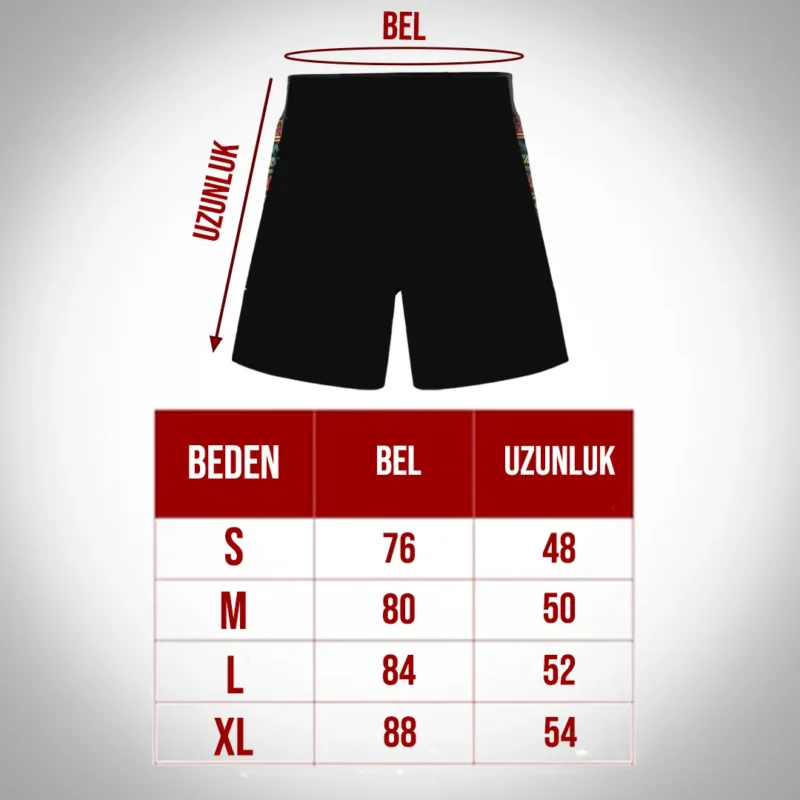 Sigma Illuminado MMA Shorts - Image 4