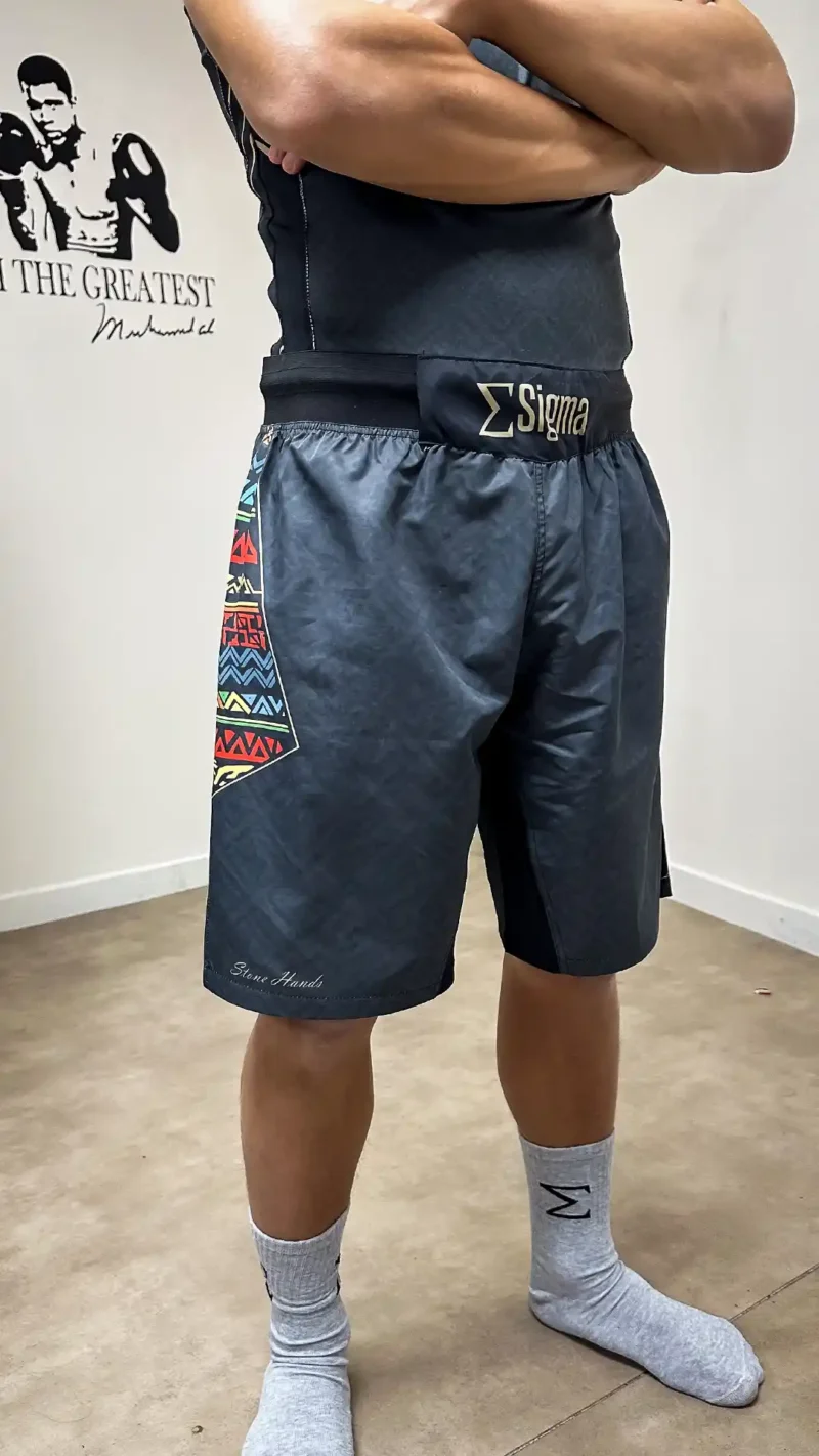 Sigma Stone Hands MMA Shorts - Image 4